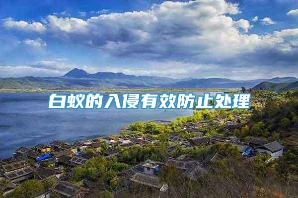 白蟻的入侵有效防止處理