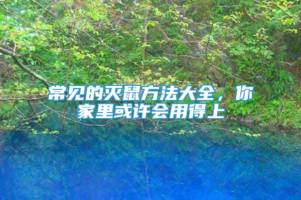常見的滅鼠方法大全，你家里或許會用得上