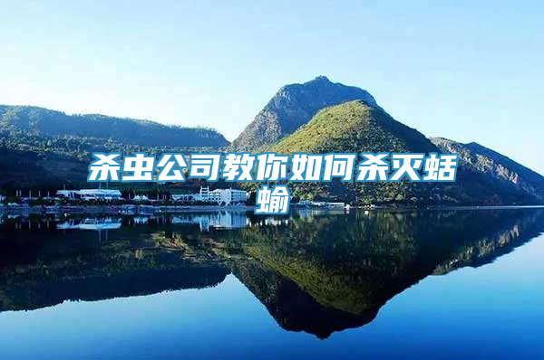 殺蟲公司教你如何殺滅蛞蝓