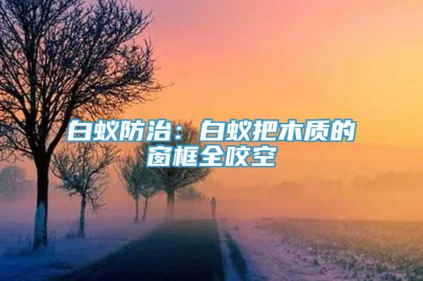 白蟻防治：白蟻把木質(zhì)的窗框全咬空