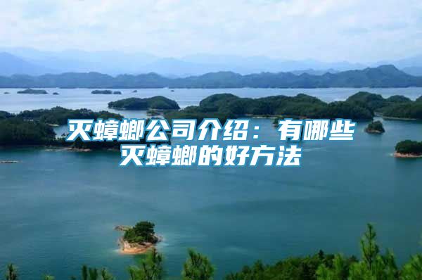 滅蟑螂公司介紹：有哪些滅蟑螂的好方法