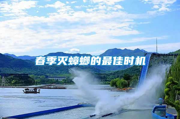 春季滅蟑螂的最佳時機