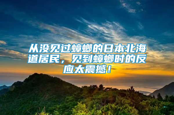 從沒(méi)見(jiàn)過(guò)蟑螂的日本北海道居民，見(jiàn)到蟑螂時(shí)的反應(yīng)太震撼！