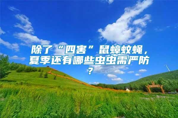 除了“四害”鼠蟑蚊蠅，夏季還有哪些蟲蟲需嚴防？