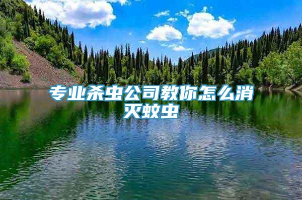 專業(yè)殺蟲公司教你怎么消滅蚊蟲