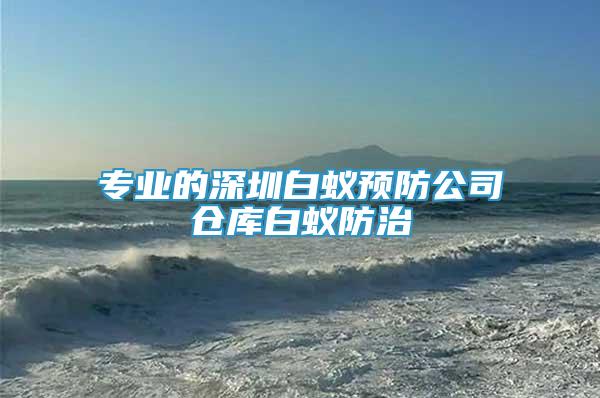 專業(yè)的深圳白蟻預(yù)防公司倉(cāng)庫(kù)白蟻防治