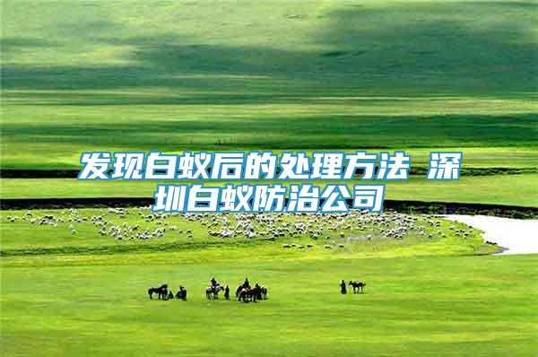 發(fā)現(xiàn)白蟻后的處理方法┋深圳白蟻防治公司┋