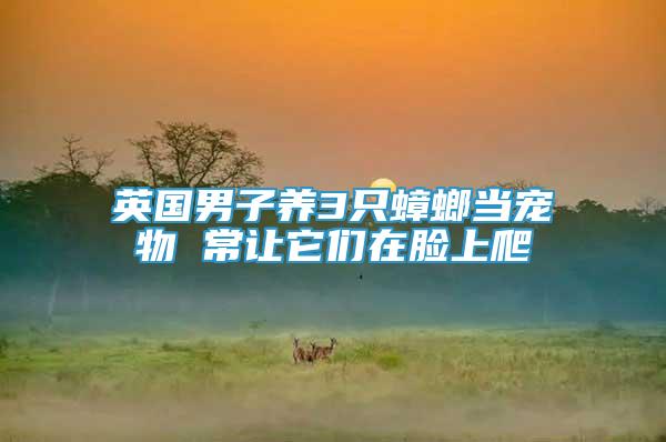 英國男子養(yǎng)3只蟑螂當(dāng)寵物 常讓它們?cè)谀樕吓?/></p>
             <p style=