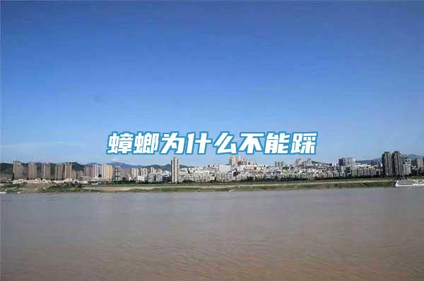 蟑螂為什么不能踩