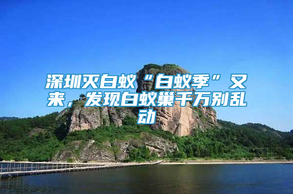 深圳滅白蟻“白蟻季”又來，發(fā)現(xiàn)白蟻巢千萬別亂動