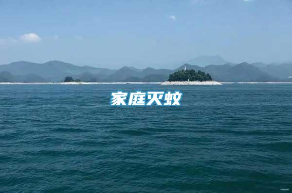 家庭滅蚊