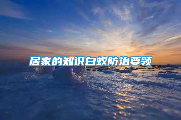 居家的知識(shí)白蟻防治要領(lǐng)