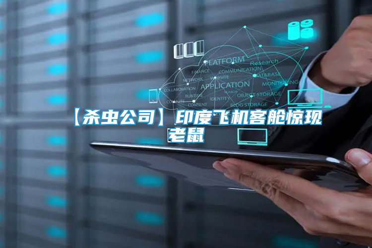 【殺蟲公司】印度飛機(jī)客艙驚現(xiàn)老鼠
