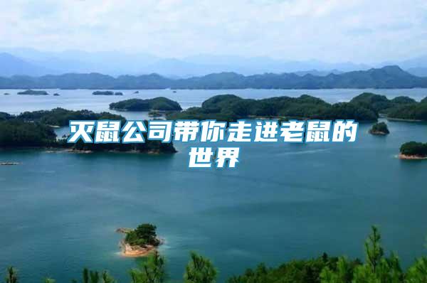 滅鼠公司帶你走進老鼠的世界