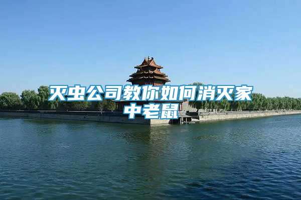 滅蟲(chóng)公司教你如何消滅家中老鼠