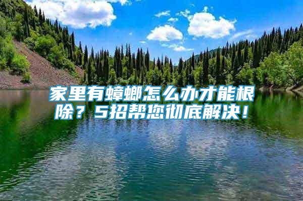 家里有蟑螂怎么辦才能根除？5招幫您徹底解決！