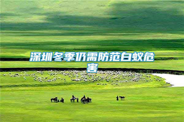 深圳冬季仍需防范白蟻危害