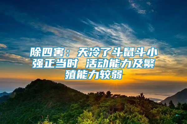 除四害：天冷了斗鼠斗小強(qiáng)正當(dāng)時 活動能力及繁殖能力較弱