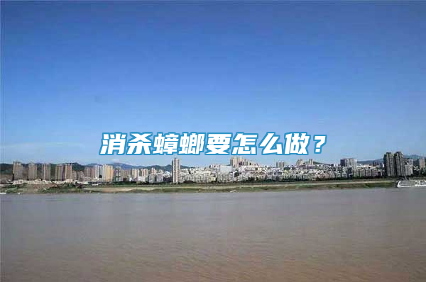 消殺蟑螂要怎么做？