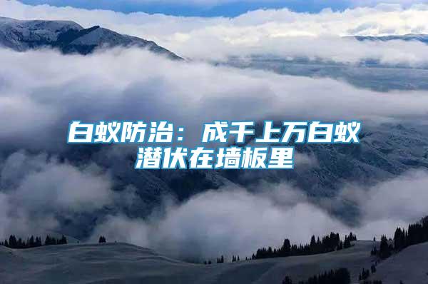白蟻防治：成千上萬白蟻潛伏在墻板里