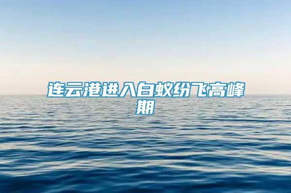連云港進入白蟻紛飛高峰期