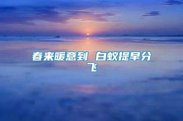 春來暖意到 白蟻提早分飛