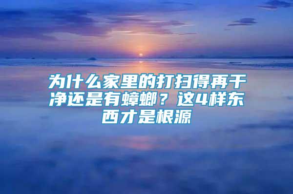為什么家里的打掃得再干凈還是有蟑螂？這4樣東西才是根源