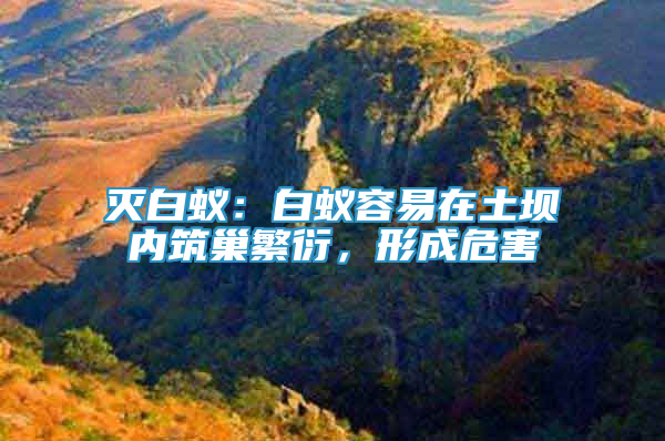 滅白蟻：白蟻容易在土壩內(nèi)筑巢繁衍，形成危害