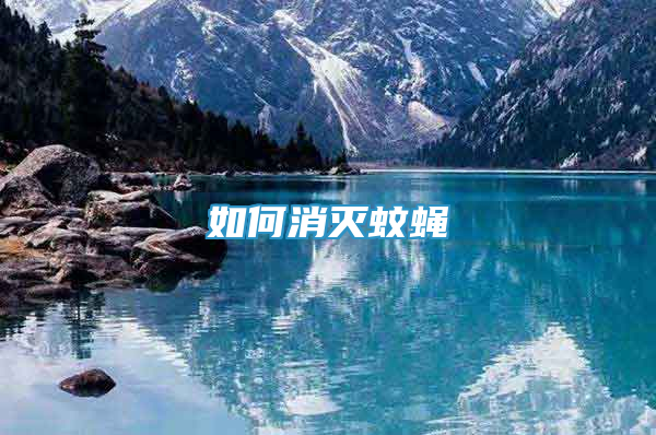 如何消滅蚊蠅