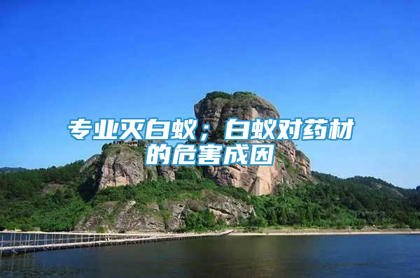 專業(yè)滅白蟻；白蟻對藥材的危害成因