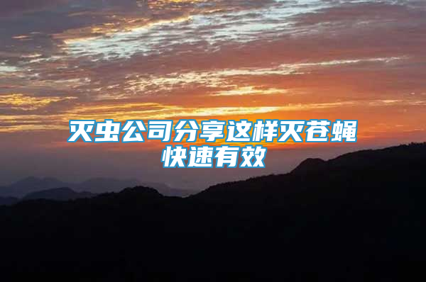 滅蟲公司分享這樣滅蒼蠅快速有效