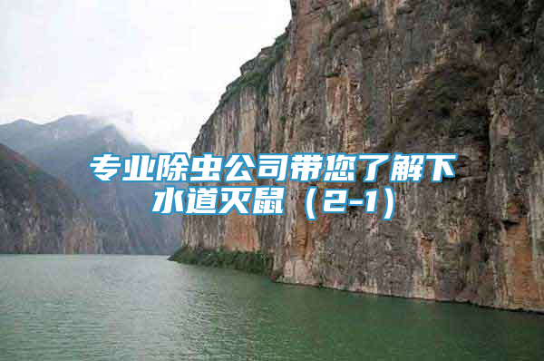 專業(yè)除蟲公司帶您了解下水道滅鼠（2-1）