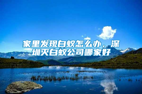 家里發(fā)現(xiàn)白蟻怎么辦，深圳滅白蟻公司哪家好