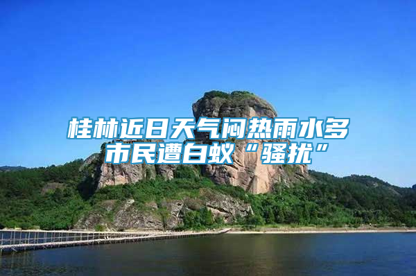 桂林近日天氣悶熱雨水多 市民遭白蟻“騷擾”