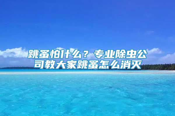 跳蚤怕什么？專(zhuān)業(yè)除蟲(chóng)公司教大家跳蚤怎么消滅
