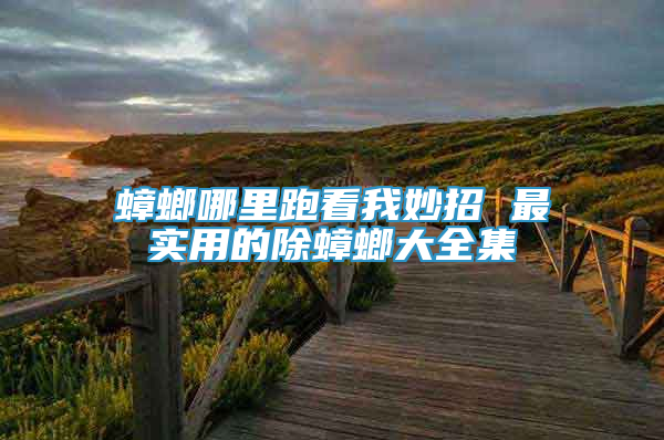 蟑螂哪里跑看我妙招 最實(shí)用的除蟑螂大全集