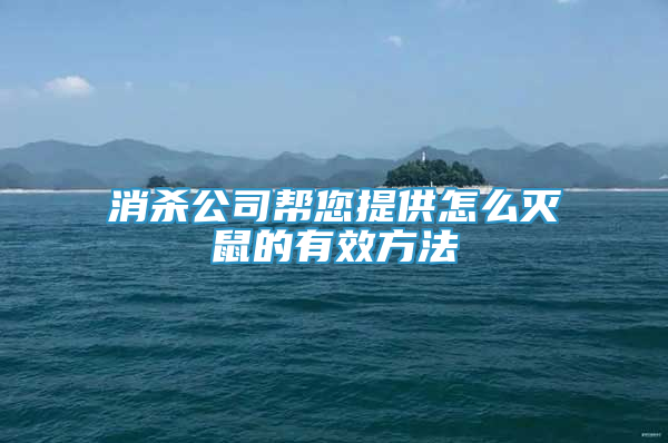 消殺公司幫您提供怎么滅鼠的有效方法