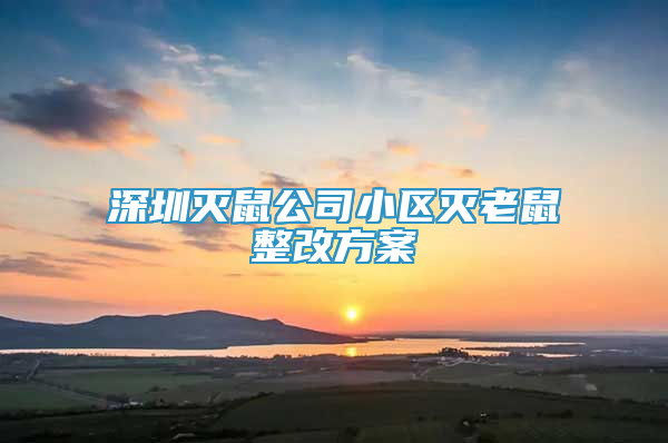 深圳滅鼠公司小區(qū)滅老鼠整改方案