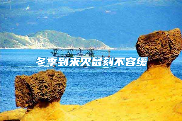 冬季到來滅鼠刻不容緩