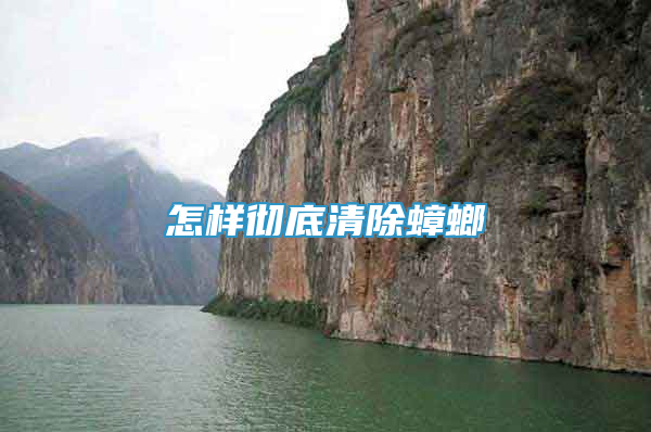 怎樣徹底清除蟑螂