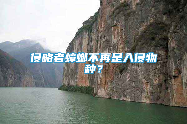 侵略者蟑螂不再是入侵物種？