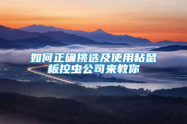 如何正確挑選及使用粘鼠板控蟲(chóng)公司來(lái)教你