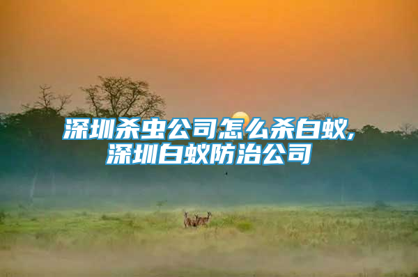 深圳殺蟲公司怎么殺白蟻,深圳白蟻防治公司