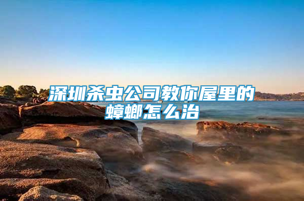 深圳殺蟲(chóng)公司教你屋里的蟑螂怎么治