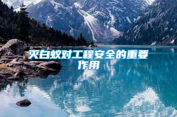 滅白蟻對工程安全的重要作用