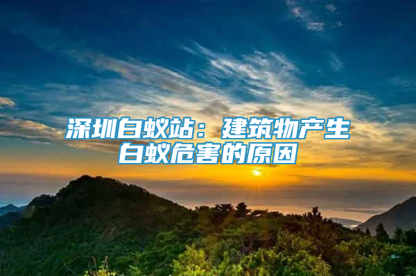 深圳白蟻站：建筑物產(chǎn)生白蟻危害的原因