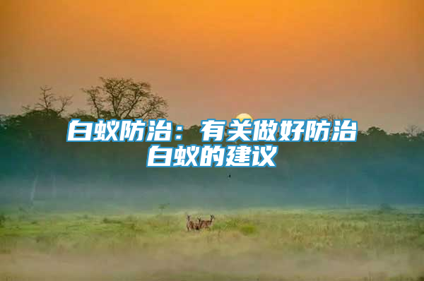 白蟻防治：有關(guān)做好防治白蟻的建議