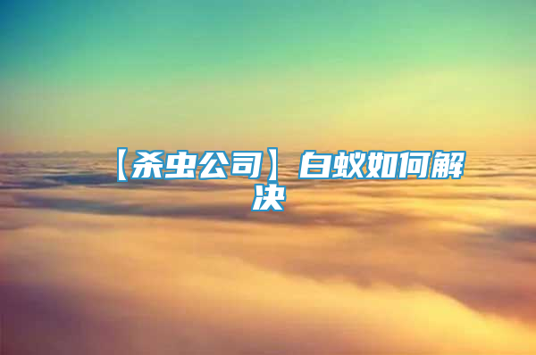 【殺蟲公司】白蟻如何解決