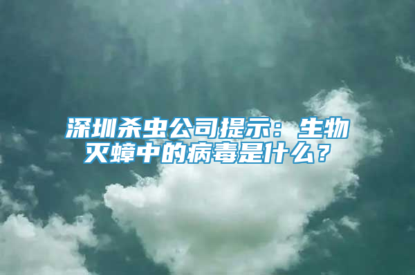 深圳殺蟲公司提示：生物滅蟑中的病毒是什么？