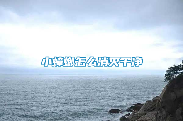 小蟑螂怎么消滅干凈